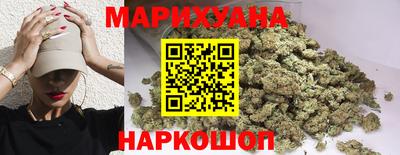 индика Кандалакша