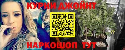 гидра Кинель