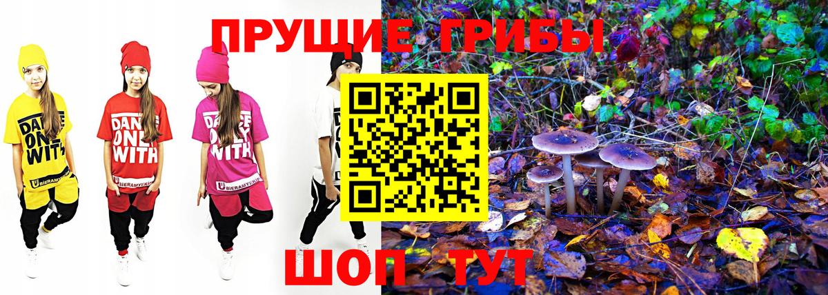 Псилоцибиновые грибы MAGIC MUSHROOMS  Вход с VPN  Галлюциногенные грибы мухоморы  Ялта 
