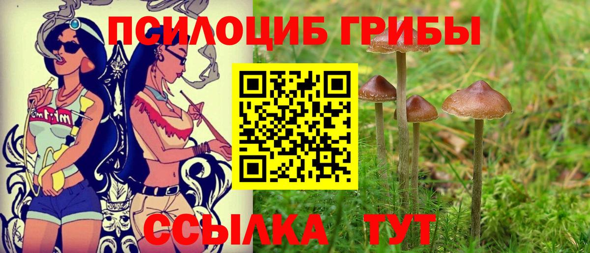 Галлюциногенные грибы MAGIC MUSHROOMS Ялта